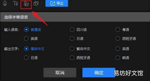 如何使用软件设置视频添加字幕语言