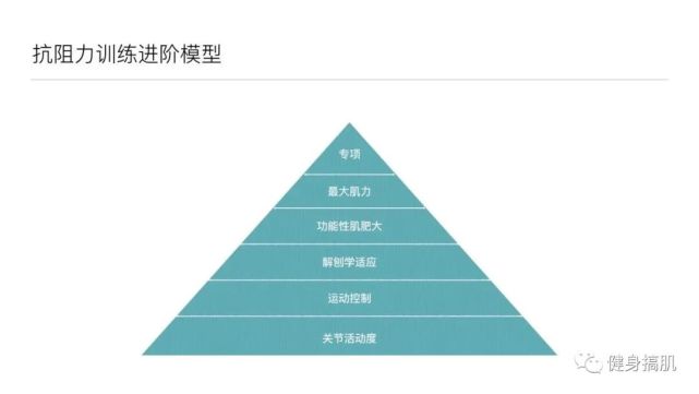 系统训练的基本内容：要点、原则与重要性解析