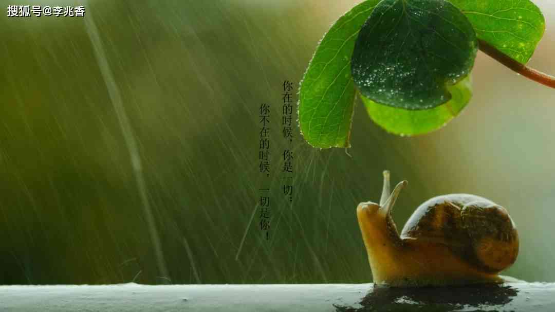 雨后余韵：泥土的土味后的清新