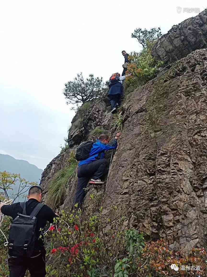 雨后尘土ai生成