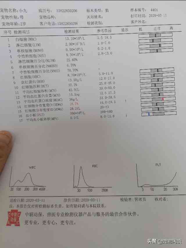 在线怀孕报告单生成器：一键制作图片报告、抖音证明，轻松生成超单报告单