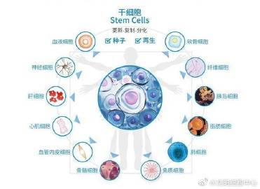 抖音AI爆款写作全攻略：深度解析如何利用智能工具实现自媒体财富增长之路