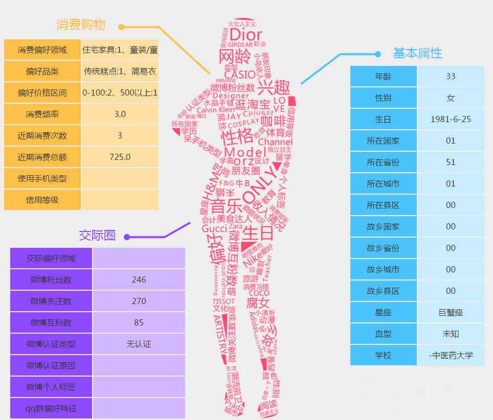 深度解析：实小编在用户画像分析与个性化推荐中的应用