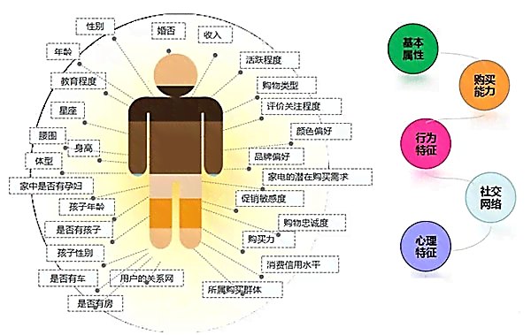 ai自动生成用户画像