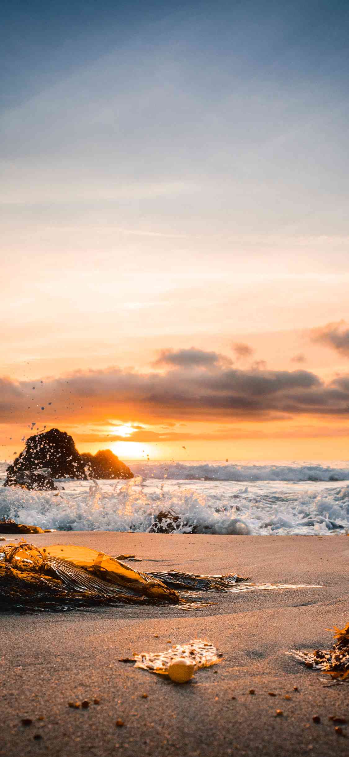 高清夕阳海滩背景壁纸：多种尺寸可选，适配各类设备