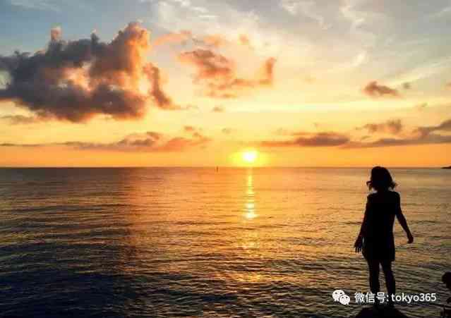 夕阳海边ai生成