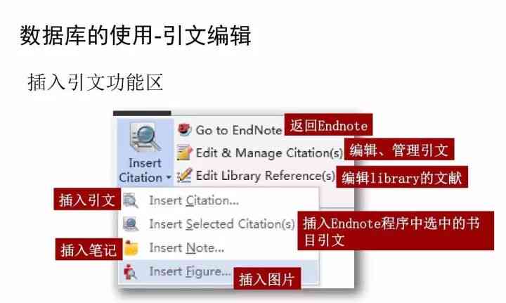 星火AI写作助手：网页版入口与全面使用指南