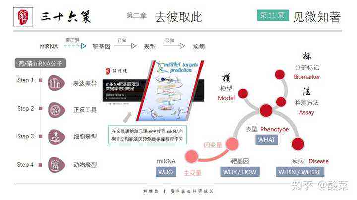 医学论文撰写全流程：从文献梳理到写作步骤详解