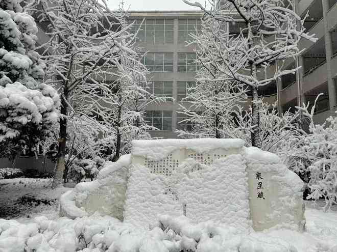 AI智能生成冬雪场景写真，打造个性化雪景照片体验