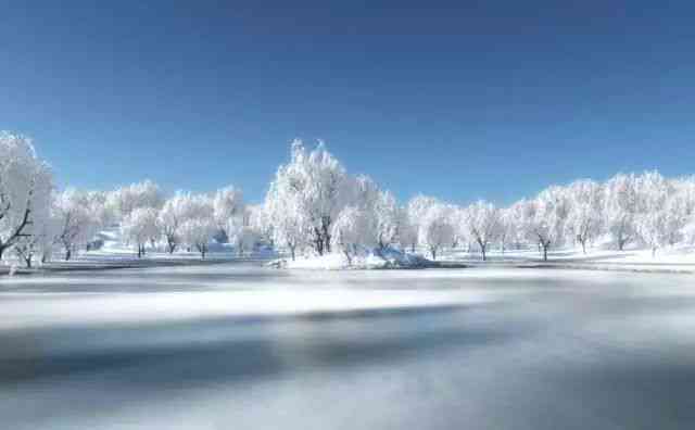 AI智能生成冬雪场景写真，打造个性化雪景照片体验