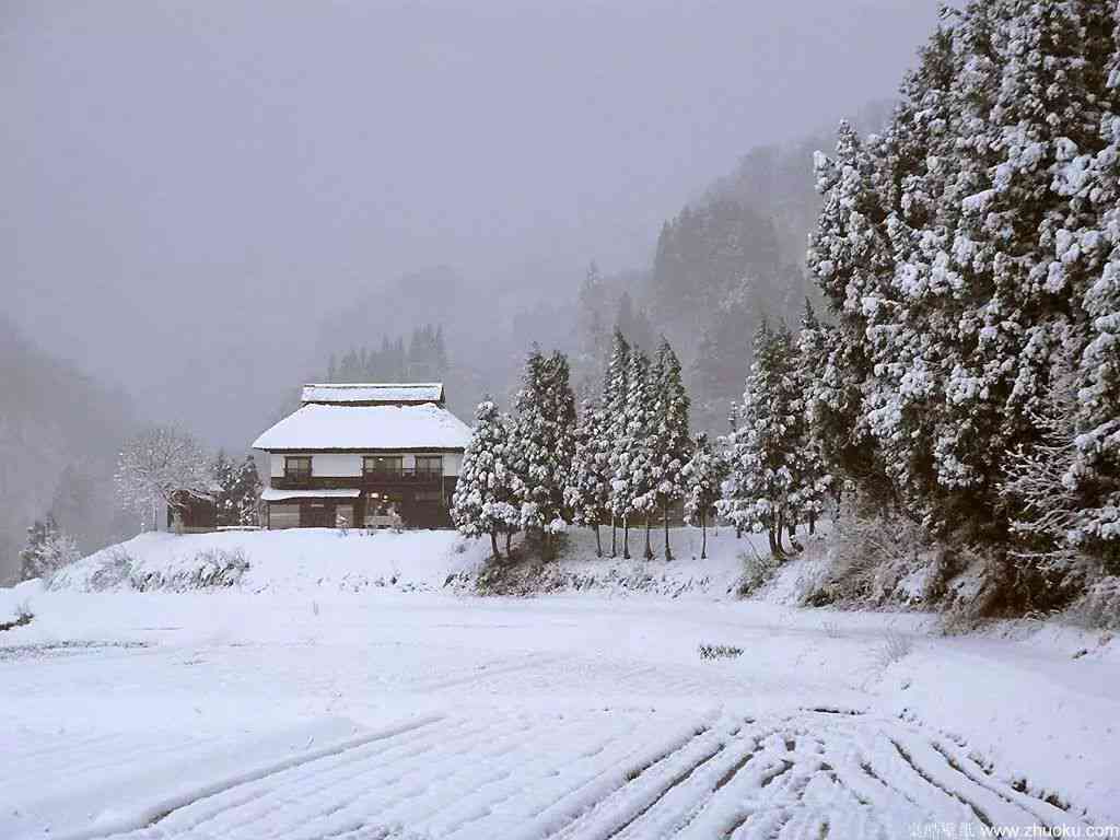 AI智能生成冬雪场景写真，打造个性化雪景照片体验