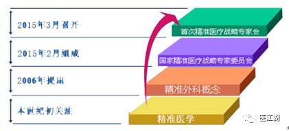 智能医疗助手：自动生成精准诊疗方案