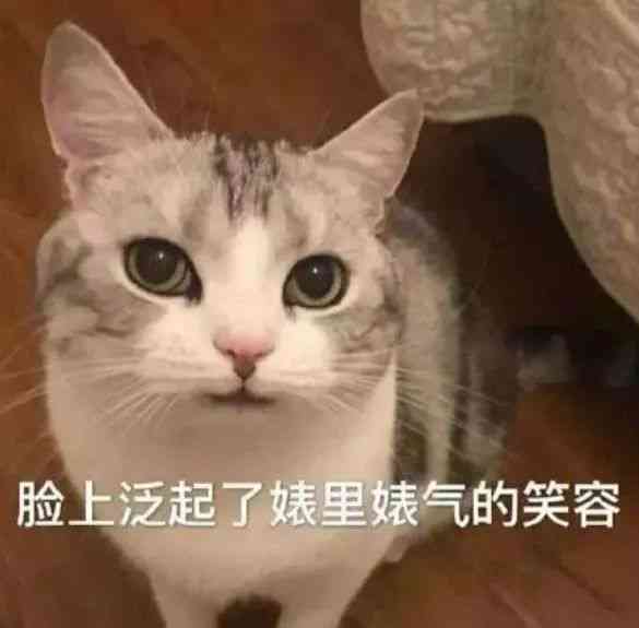 记录猫咪日常ai生成