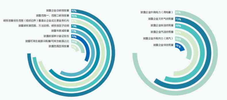 深入解析AI建模：从数据收集到模型部署的完整指南