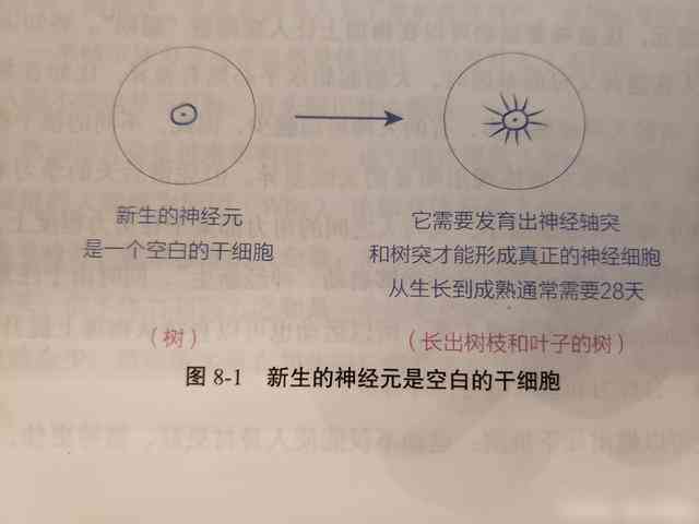 提案写作的简单模式英文：如何表达及翻译简易撰写方式