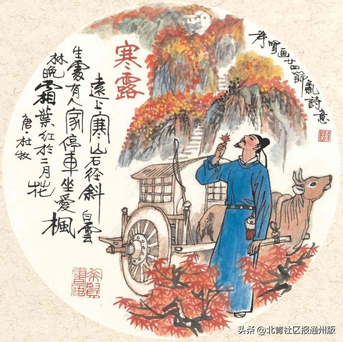 寒露时节的传统俗与现代庆方式全解析