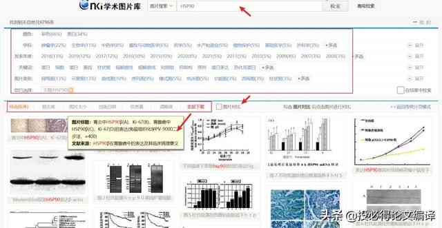 巧用中国知网助手，全方位助力论文写作与提升