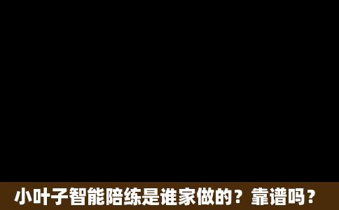 小叶子ai培训机构怎么样：可靠性、教育质量及智能培训综合评价