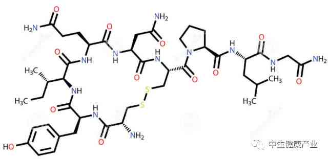 女性多巴胺分泌意味着什么？女生健好处探究——多巴胺对女人的积极影响