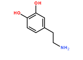 女性多巴胺分泌意味着什么？女生健好处探究——多巴胺对女人的积极影响