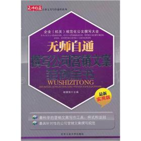 影视文案写作技巧：综合教程、方法与范例精选