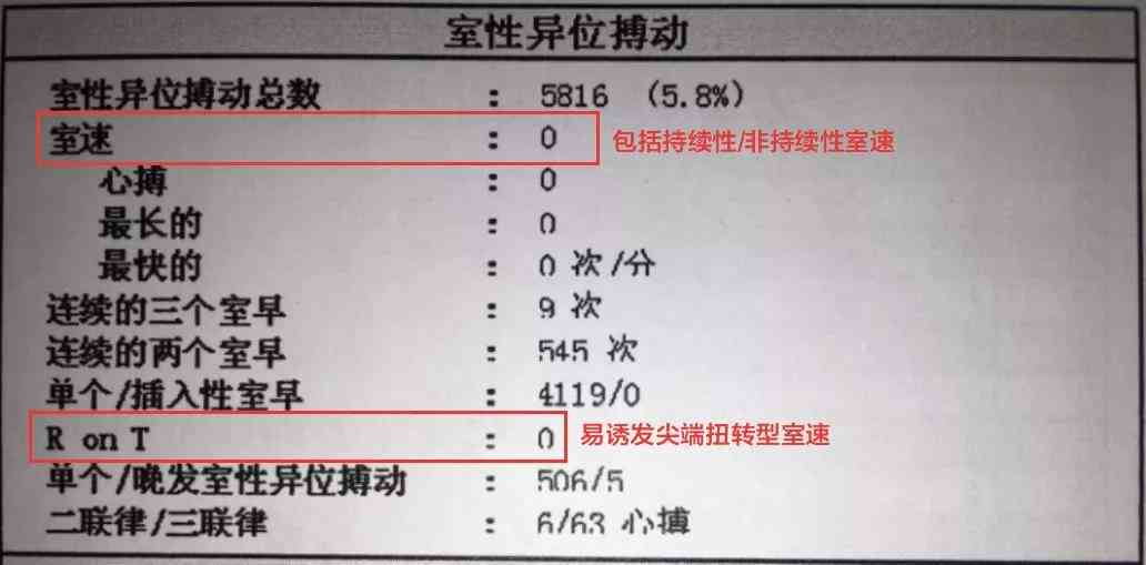 研究性报告怎么写作文：500字范文与100字右的范例解析