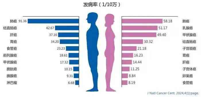 ai的报告：癌的报告单解读与爱的报告泰剧版本、文案汇编