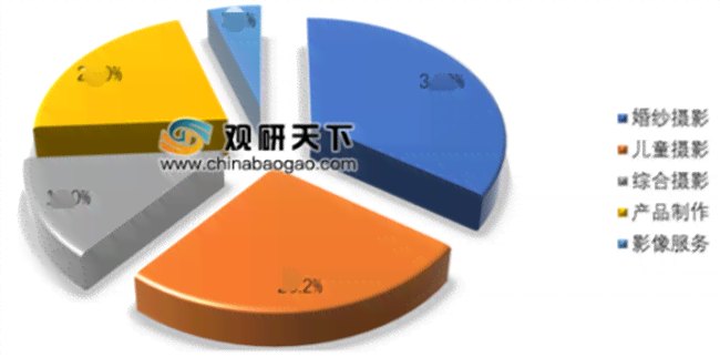 中国摄影市场：人像摄影行业分析报告及市场趋势文库