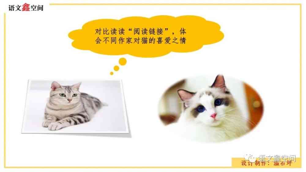 猫爱写作：猫写作业与创作诗文，探究猫写作文的独特风格特点