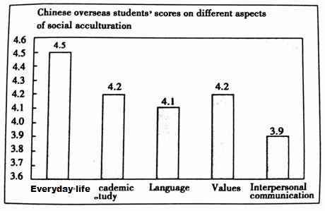 留学生作业多吗：现状、英语作业解析及量度探究