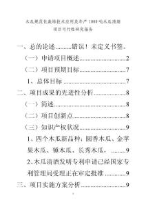 智能写作工具以思AI：项目可行性研究报告与论文生成研究报告编写