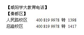 迎接AI时代：必备技能与学策略指南——探索我们应该掌握的知识与能力