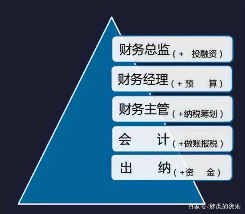 全方位解读财务分析：成本预算、盈利模式与风险评估指南