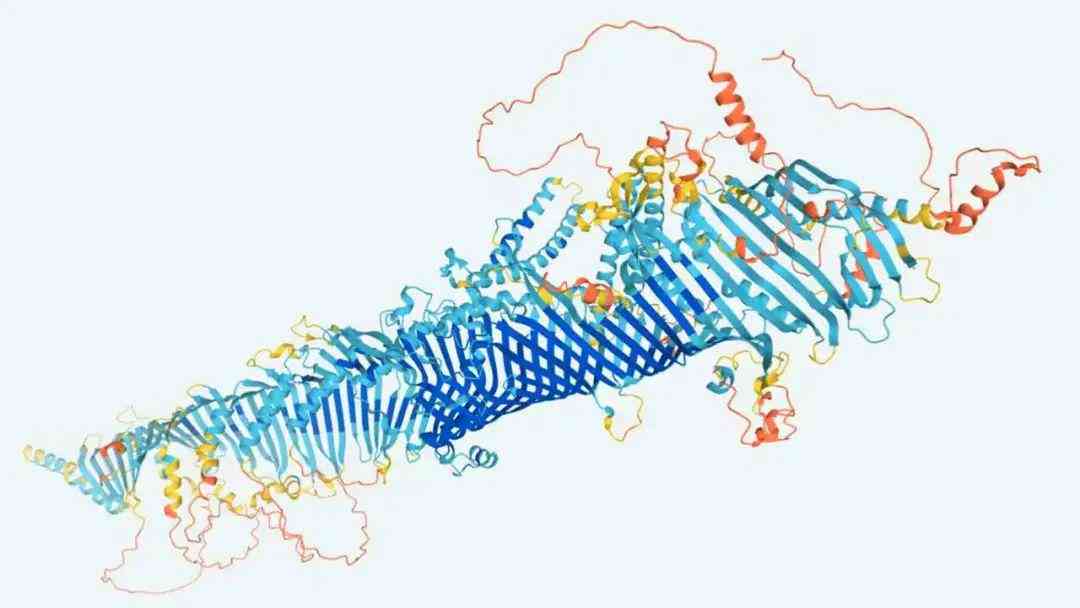 利用先进AI技术实现高效精准的蛋白质结构预测算法研究与应用