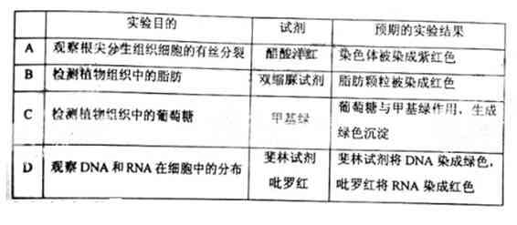 ai预测蛋白质的应用实验报告