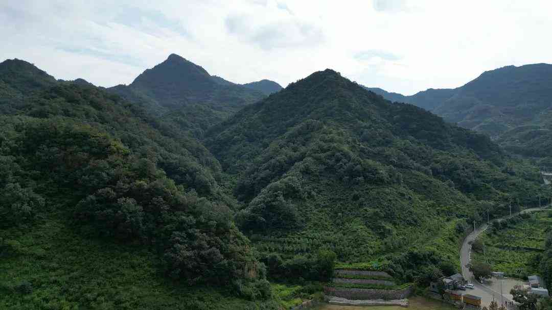 庭院文案朋友圈景色：如何撰写与发布庭院美景说说及文案分享