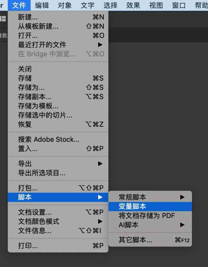 AI脚本安装详细指南：涵不同操作系统和编程环境的文件选择与配置