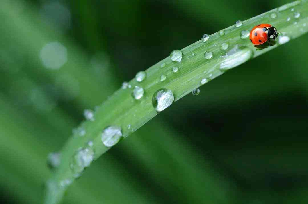 全面解析雨的文案创作：涵写雨的技巧、情感表达与实用案例