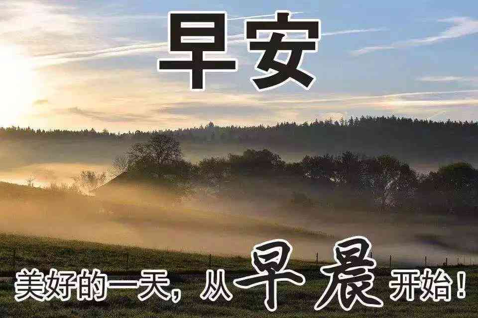 AI智能创作助手：一键自动生成高质量文案，全面覆用户搜索需求