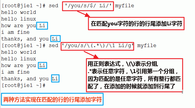 使用sed命令全面掌握文本处理技巧：解决常见问题与高级应用指南