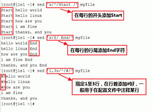 使用sed命令全面掌握文本处理技巧：解决常见问题与高级应用指南