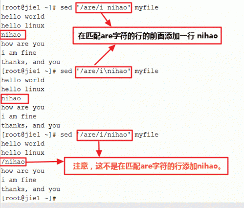 使用sed命令全面掌握文本处理技巧：解决常见问题与高级应用指南