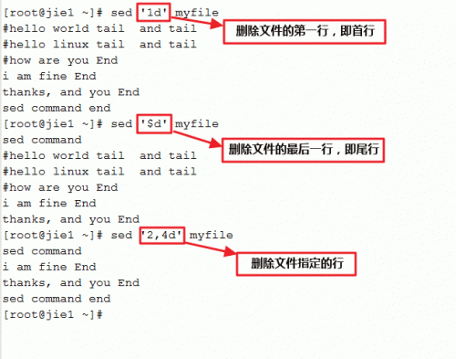 使用sed命令全面掌握文本处理技巧：解决常见问题与高级应用指南