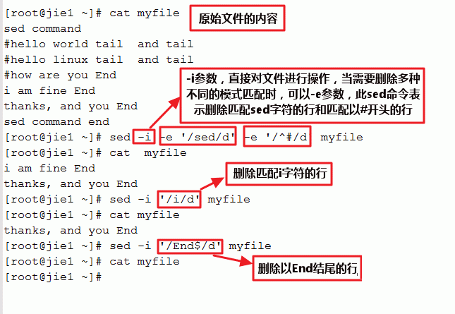 使用sed命令全面掌握文本处理技巧：解决常见问题与高级应用指南