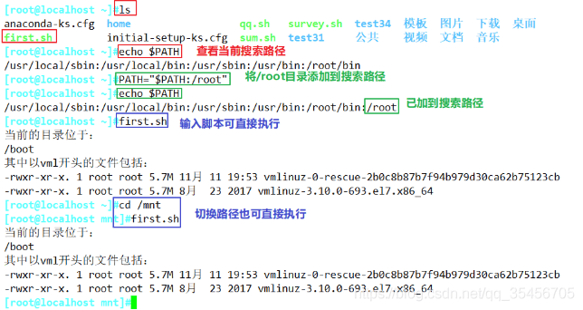 Shell 脚本编写指南：创建与执行 .sh 脚本文件的完整教程