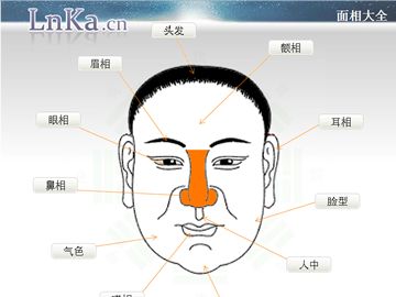 智能人脸面相分析报告：深度脸型分析解读