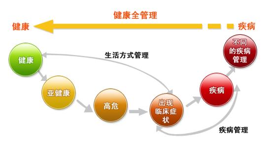 全面解析：秘塔写作猫安全性评估与潜在信息泄露风险分析