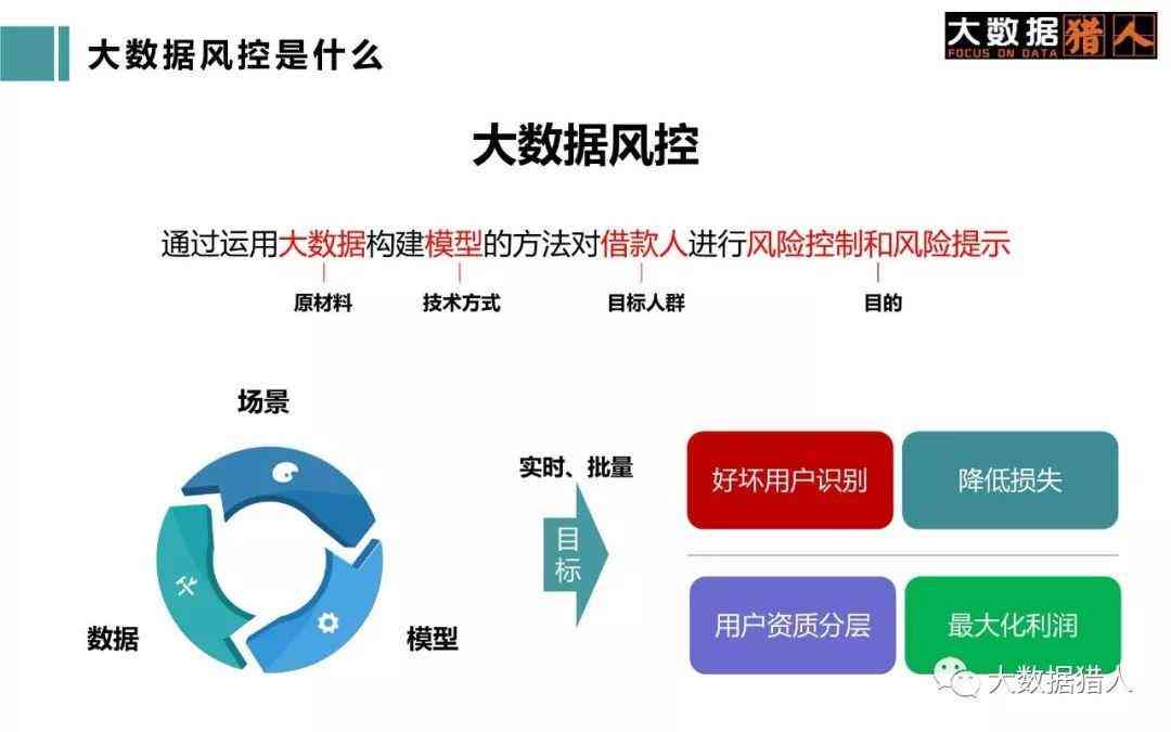 金融风险数据：分析、模型构建、查找方法、分析师职责及挖掘案例