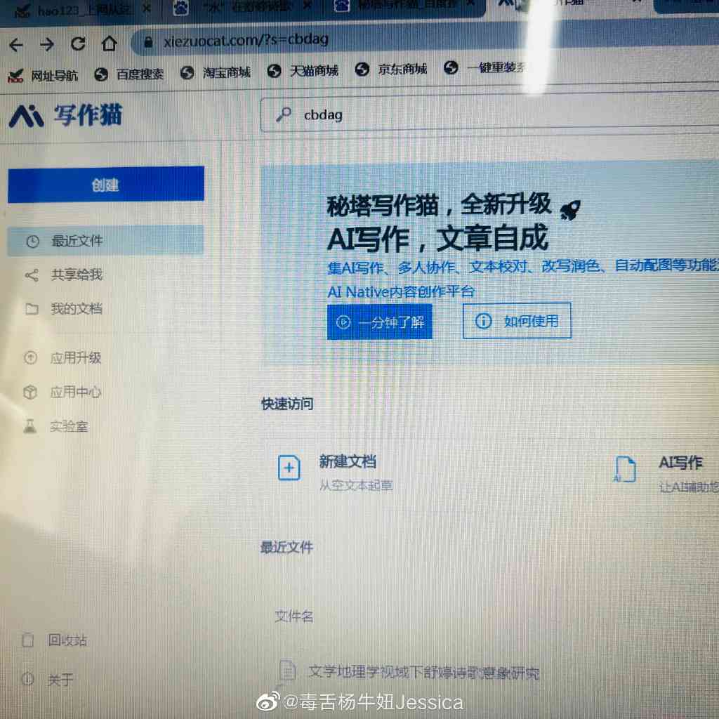 秘塔写作猫AI类似的软件如何，易泄露吗？是否收费及能否降重？