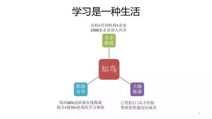 全面攻略：幼儿文案编辑技巧与实用案例解析